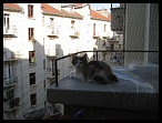 0042 28juin je sais sortir